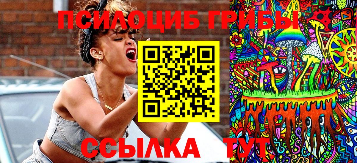 Торжок  где можно купить наркотик  Вход с VPN  Галлюциногенные грибы Cubensis 