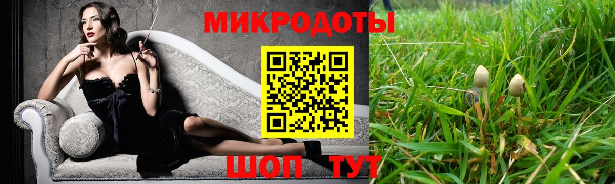 Псилоцибиновые грибы Cubensis Торжок